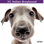 THE DOG カレンダー イタリアン グレイハウンド [2017年カレンダー]