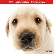 THE DOG カレンダー ラブラドール レトリバー [2017年カレンダー]