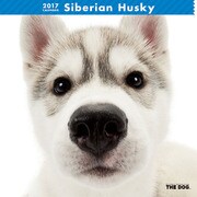 THE DOG カレンダー シベリアン ハスキー [2017年カレンダー]