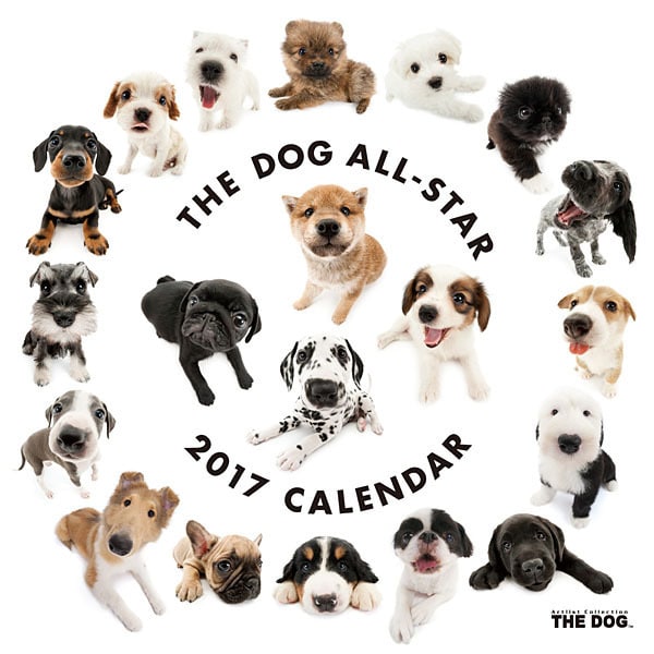 THE DOG オールスター カレンダー [2017年カレンダー]
