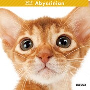 THE CAT カレンダー アビシニアン [2017年カレンダー]