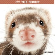 THE FERRET カレンダー [2017年カレンダー]