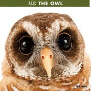 THE OWL カレンダー [2017年カレンダー]