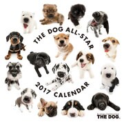 THE DOG ミニカレンダー オールスター [2017年カレンダー]
