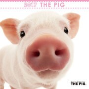THE PIG ミニカレンダー [2017年カレンダー]