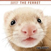 THE FERRET ミニカレンダー [2017年カレンダー]