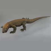 ソフビトイボックス005 コモドドラゴン コモドオオトカゲ [全長 約340mm 塗装済可動フィギュア]