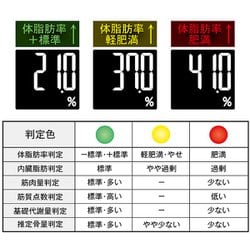 デュアルタイプ体組成計 インナースキャンデュアル RD-503-SV   タニタ デュアルタイプ体組成計 インナースキャンデュアルRD-503/E01
