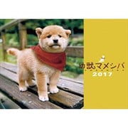 CL-351 幼獣マメシバ [2017年 壁掛けカレンダー]