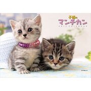 CL-352 子猫のマンチカン [2017年 壁掛けカレンダー]
