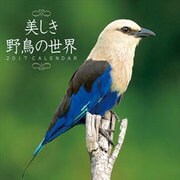 CL-361 美しき野鳥の世界 [2017年 壁掛けカレンダー]
