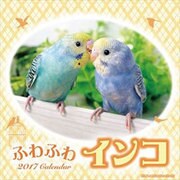 CL-362 ふわふわインコ [2017年 壁掛けカレンダー]