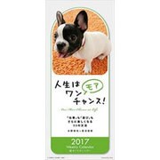 CL-369 人生はワンモアチャンス! [2017年 壁掛けカレンダー]