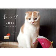 CL-377 ポッケ [2017年 壁掛けカレンダー]