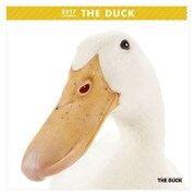 CL-1152 THE DUCK [2017年 壁掛けカレンダー]