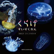 CL-374 くらげすいぞくかん [2017年 壁掛けカレンダー]
