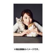 CL-164 知英(Jiyoung) [2017年 壁掛けカレンダー]