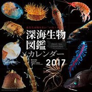 CL-375 深海生物図鑑 [2017年 壁掛けカレンダー]
