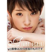 CL-176 剛力彩芽 [2017年 壁掛けカレンダー]