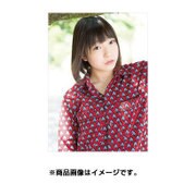 CL-246 京佳 [2017年 壁掛けカレンダー]
