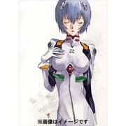 CL-72 [2017年 壁掛けカレンダー ヱヴァンゲリヲン新劇場版]