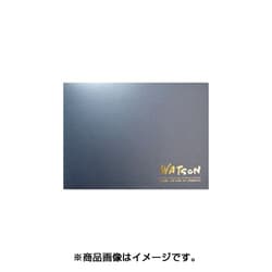 ワトソンブロック 300g F10 NW-1410