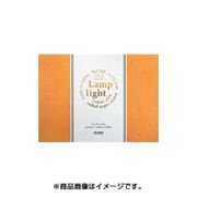 ランプライトブロック 300g F4 LL-0804
