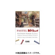 パステルワトソン 190g F6 PSW-2606