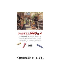パステルワトソン 190g F8 PSW-2608