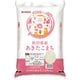 精米 秋田県産 あきたこまち 5kg 令和6年産