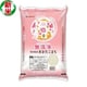 無洗米 秋田県産 あきたこまち 5kg 令和7年産