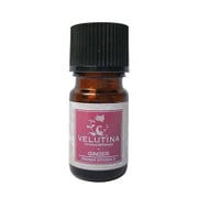 ヴェルティーナ エッセンシャルオイル ジンジャー 5mL 042994