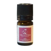 ヴェルティーナ エッセンシャルオイル バジル 5mL 040730