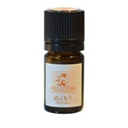 ヴェルティーナ エッセンシャルオイル ブレンド精油 ぬくもり 5mL 040648