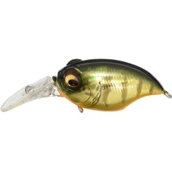 ヨドバシ Com メガバス Megabass New Mr X Griffon Gg カスミタイガー クランクベイト 通販 全品無料配達