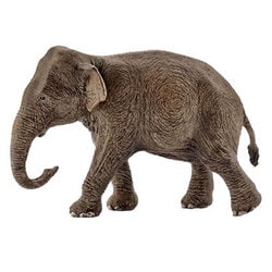 ヨドバシ Com シュライヒ Schleich インド象 メス Wild Life 通販 全品無料配達