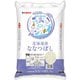 精米 北海道産 ななつぼし 5kg 令和6年産