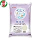 無洗米 北海道産 ななつぼし 5kg 令和7年産
