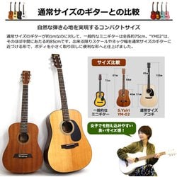 ヨドバシ.com - S.yairi エスヤイリ YM-02LH/MH [ミニ