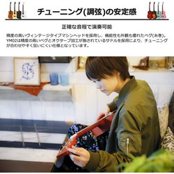 ヨドバシ.com - S.yairi エスヤイリ YM-02LH/MH [ミニ