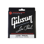 エレキ弦 Les Paul 09-42 SEG-LP9