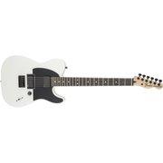 エレキギター JIM ROOT TELECASTER WHT