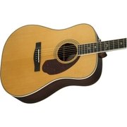 PM-1 DELUXE DREADNOUGHT, NAT [エレキアコースティックギター]