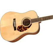 PM-1 LIMITED DREAD RWD, NAT [エレキアコースティックギター]