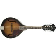 マンドリン CONCERT TONE MANDO A 52E