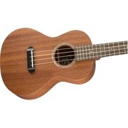 ウクレレ Ukulele Mino'Aka - Concert