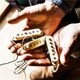 ピックアップ ERIC JOHNSON STRAT PICKUP SET