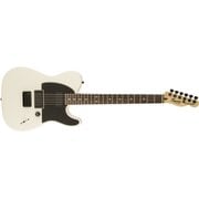 エレキギター SQ JIM ROOT TELE FLAT WHT