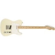 エレキギター SQ TELE MN AWT