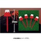 W16TEE003 [赤富士ティー 4P]